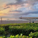 Deerfield Beach Yoga