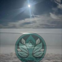 Live Free Yoga & Meditation