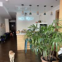 YO BK - Greenpoint