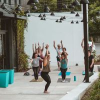 Movement Lounge, By Yoga Muttz