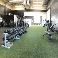 Results Pro Training