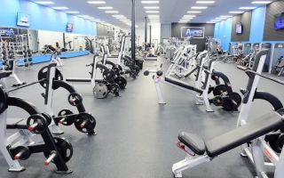 amped fitness st pete