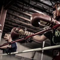 Lugo Boxing & Fitness
