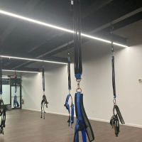 Flyte Bungee