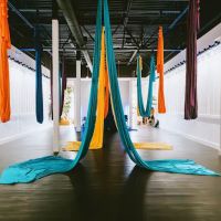 The Yoga Lounge