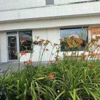 bikram Yoga Yorktown
