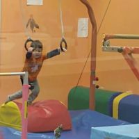 Dream Big Gymnastics
