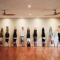 Synergy Yoga & Wellness