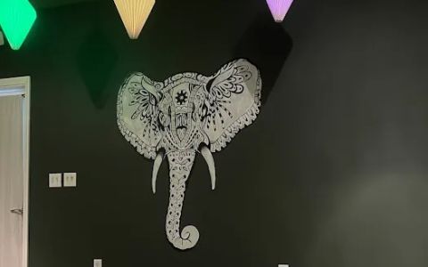 Yoga Innovations Collective