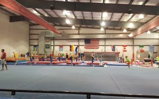 vigs gymnastics va