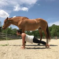 Raleigh NC Yoga LLC aka y Respira...