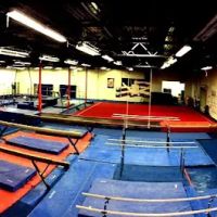 USA Gymnastics World