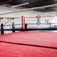 Wolfpack Boxing Club