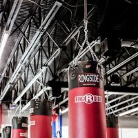 Box IQ Fitness + Knowledge