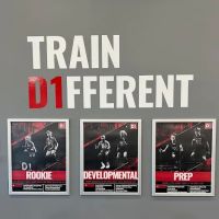 D1 Training Mansfield