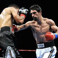 Paulie Boxing