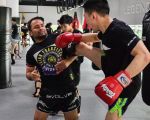 Effective Muay Thai Sparring Drills to Improve Balance and Coordination