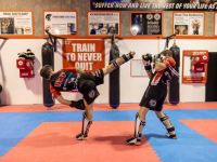 Essential Muay Thai Sparring Techniques for Beginners to Master