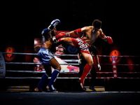 Effective Muay Thai Training Tips for Competition Preparation to Maximize Performance