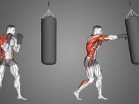 Effective Boxing Workouts to Build Muscular Endurance and Boost Performance